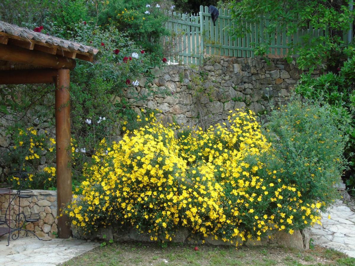 Bed and Breakfast Mas Des Citronniers Le Tignet Exteriér fotografie